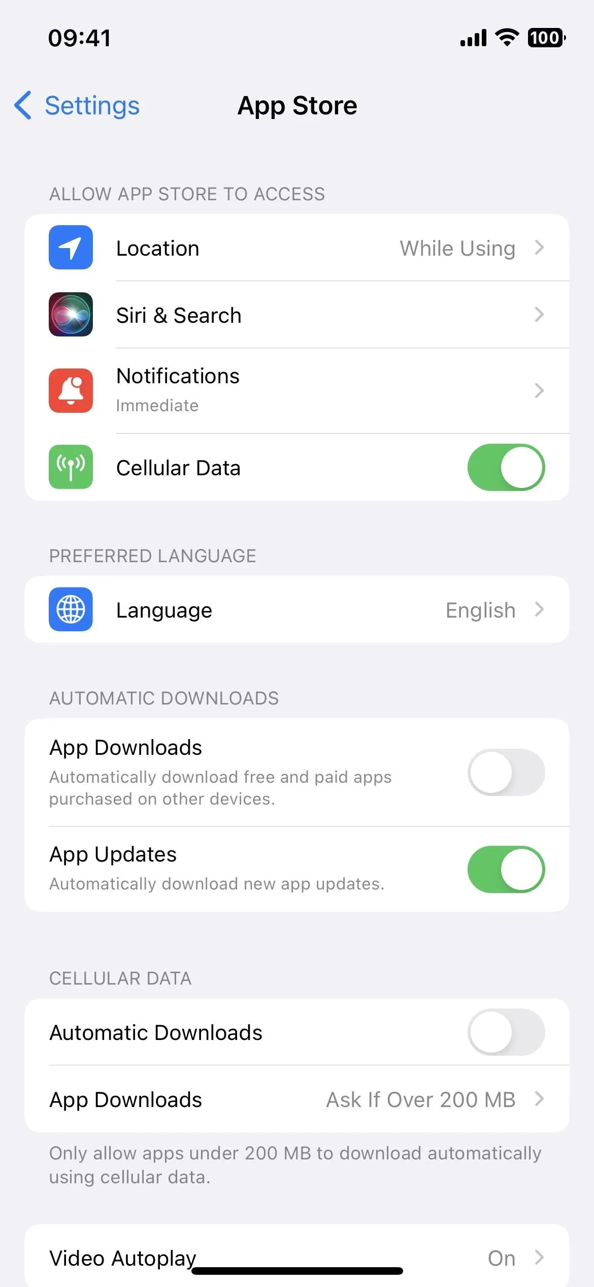 App Store settings on a mobile device with options for app updates and notifications.