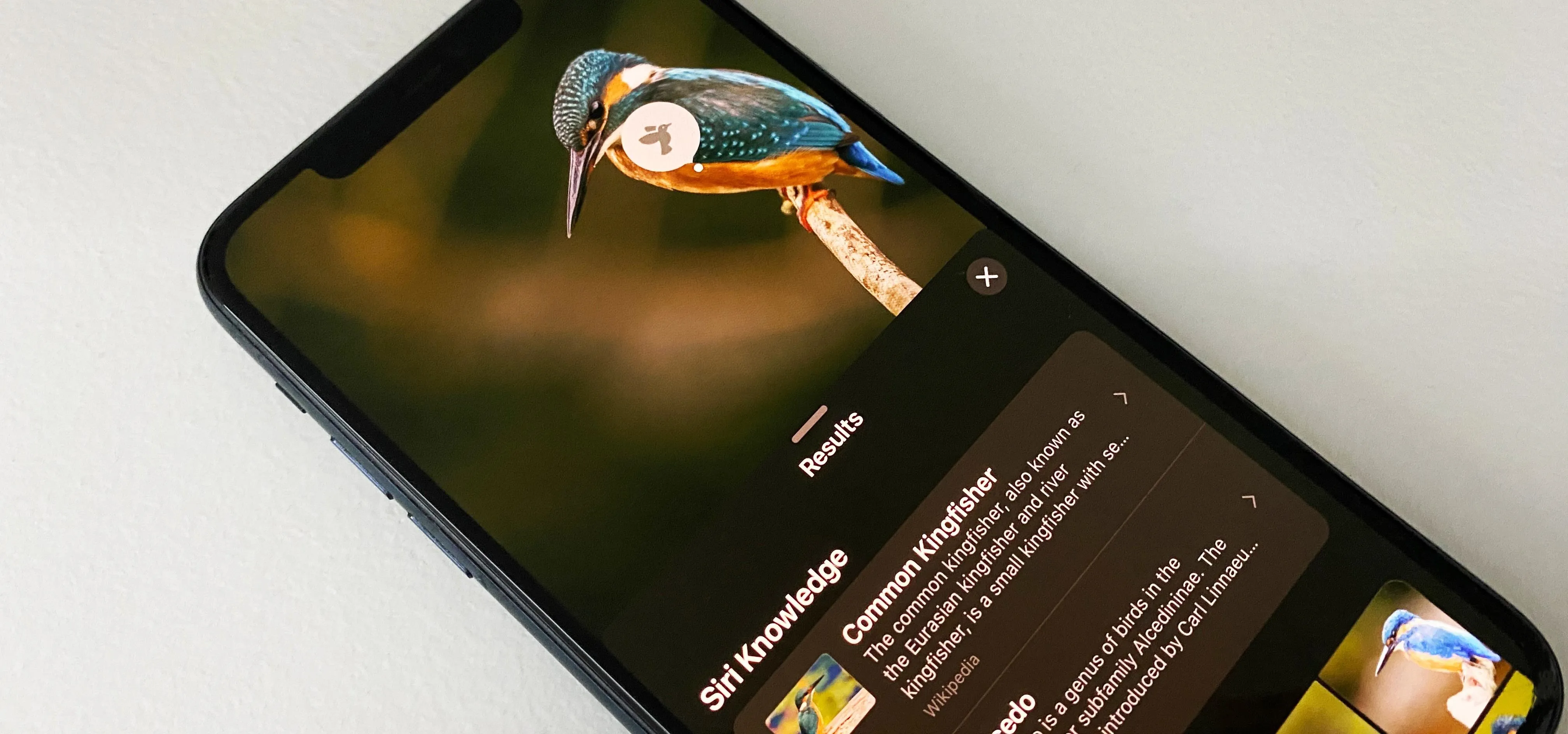 A smartphone displaying an image of a kingfisher perched on a post.