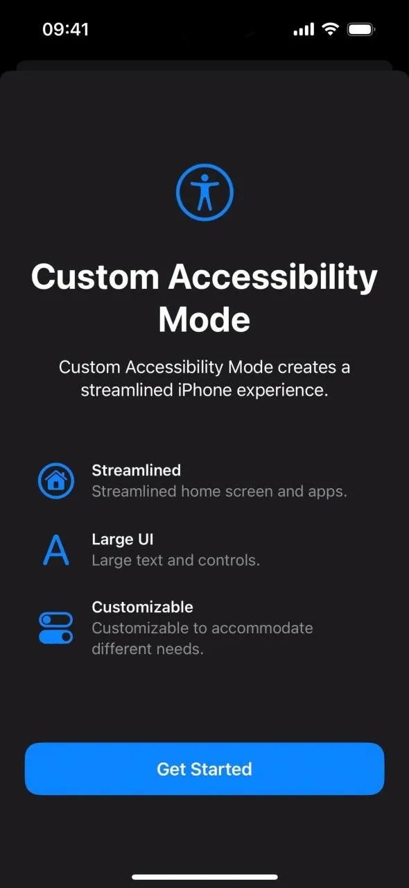 Custom Accessibility Mode settings screen with options for descriptions, layout, and customization.