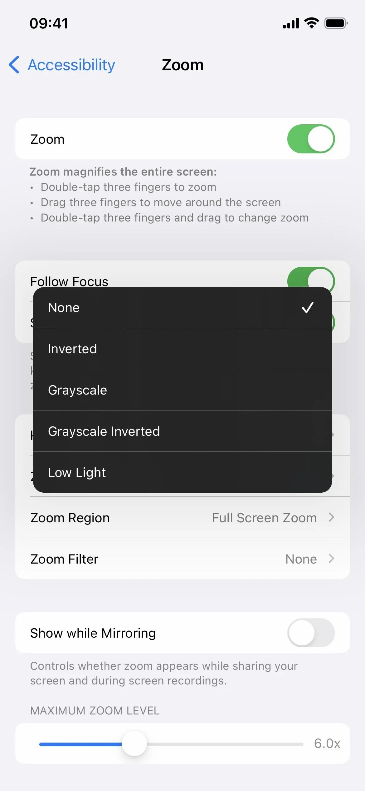 Zoom accessibility feature settings on a mobile device.