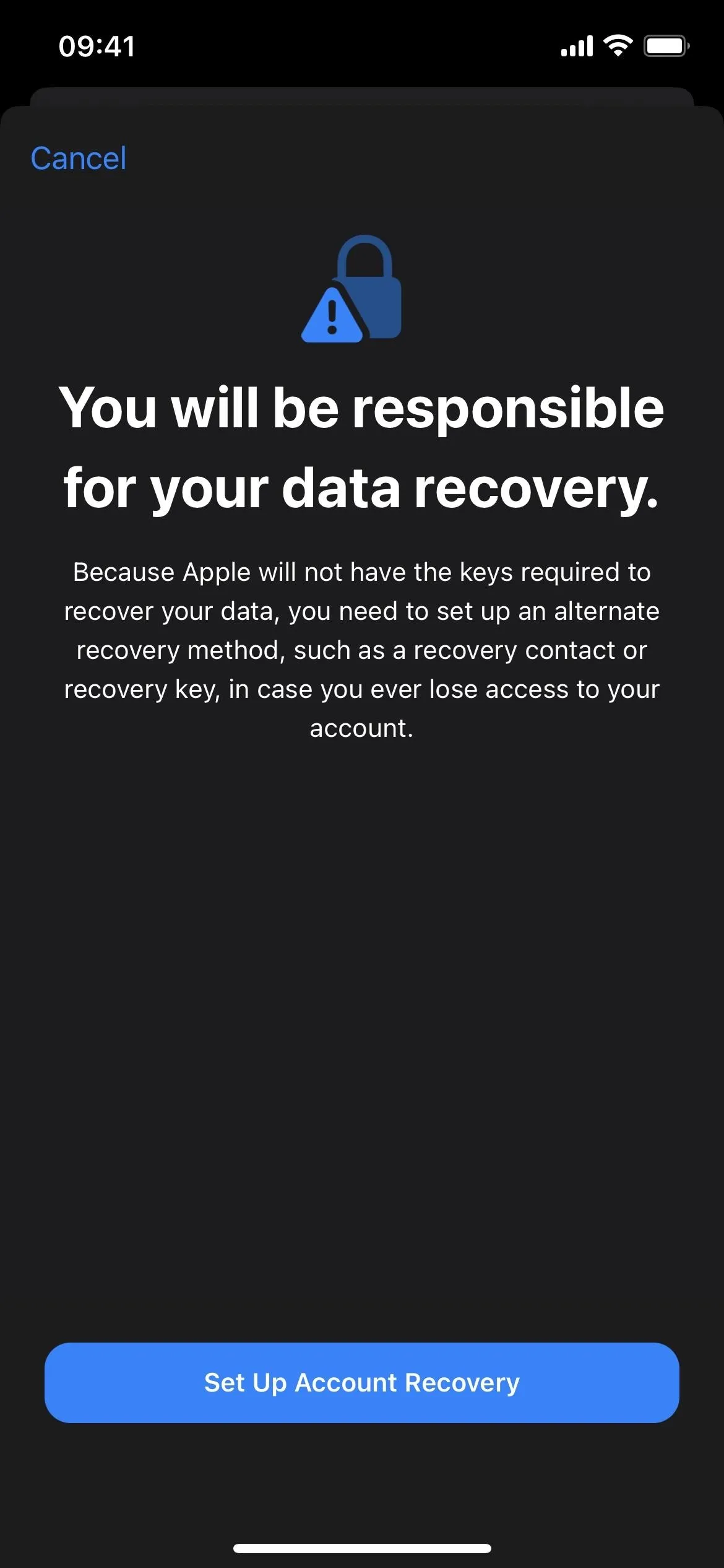 You will be responsible for your data recovery.