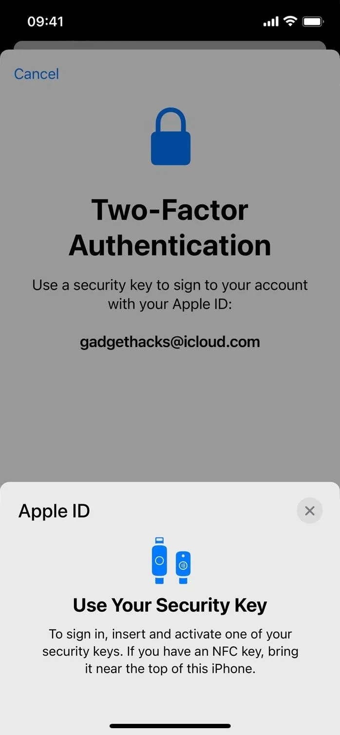 Two-Factor Authentication screen on a mobile device.