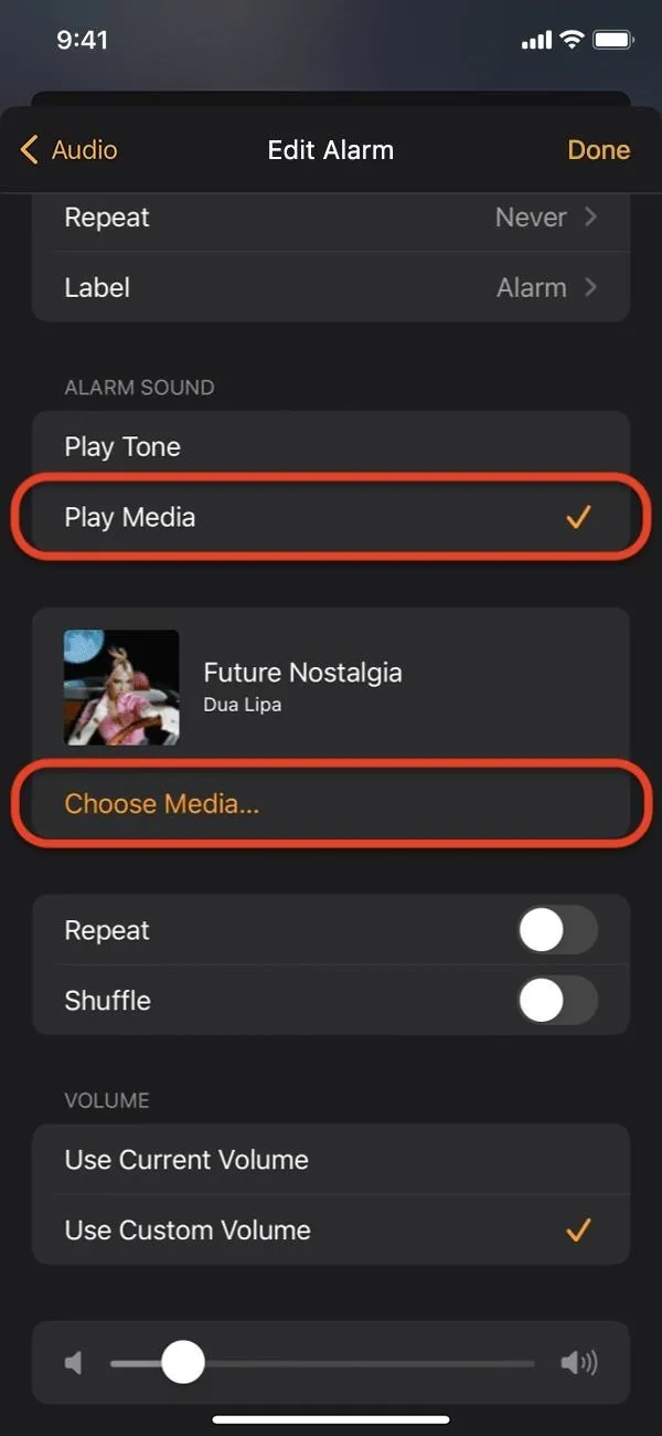 Settings menu displaying playback options for a multimedia application.