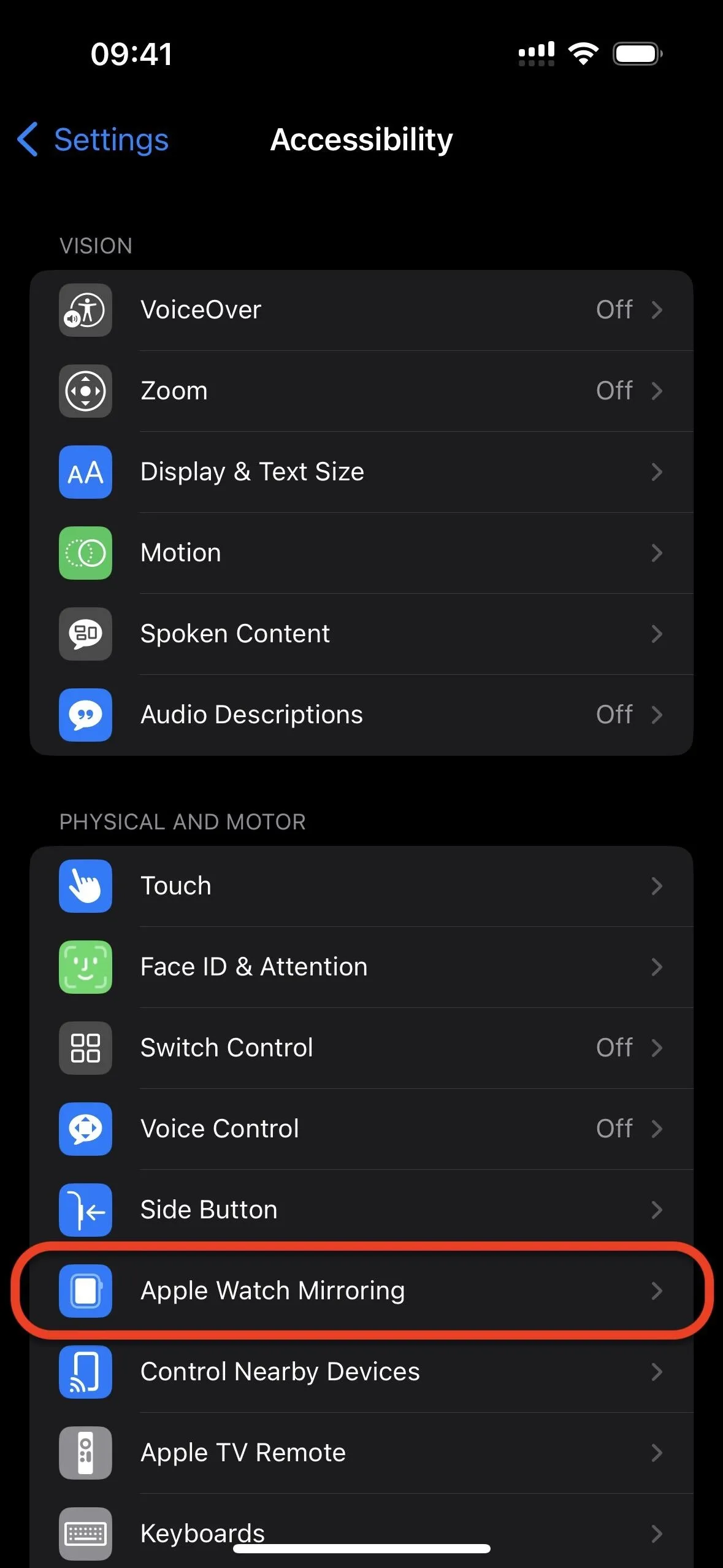 Accessibility settings on a mobile device menu.