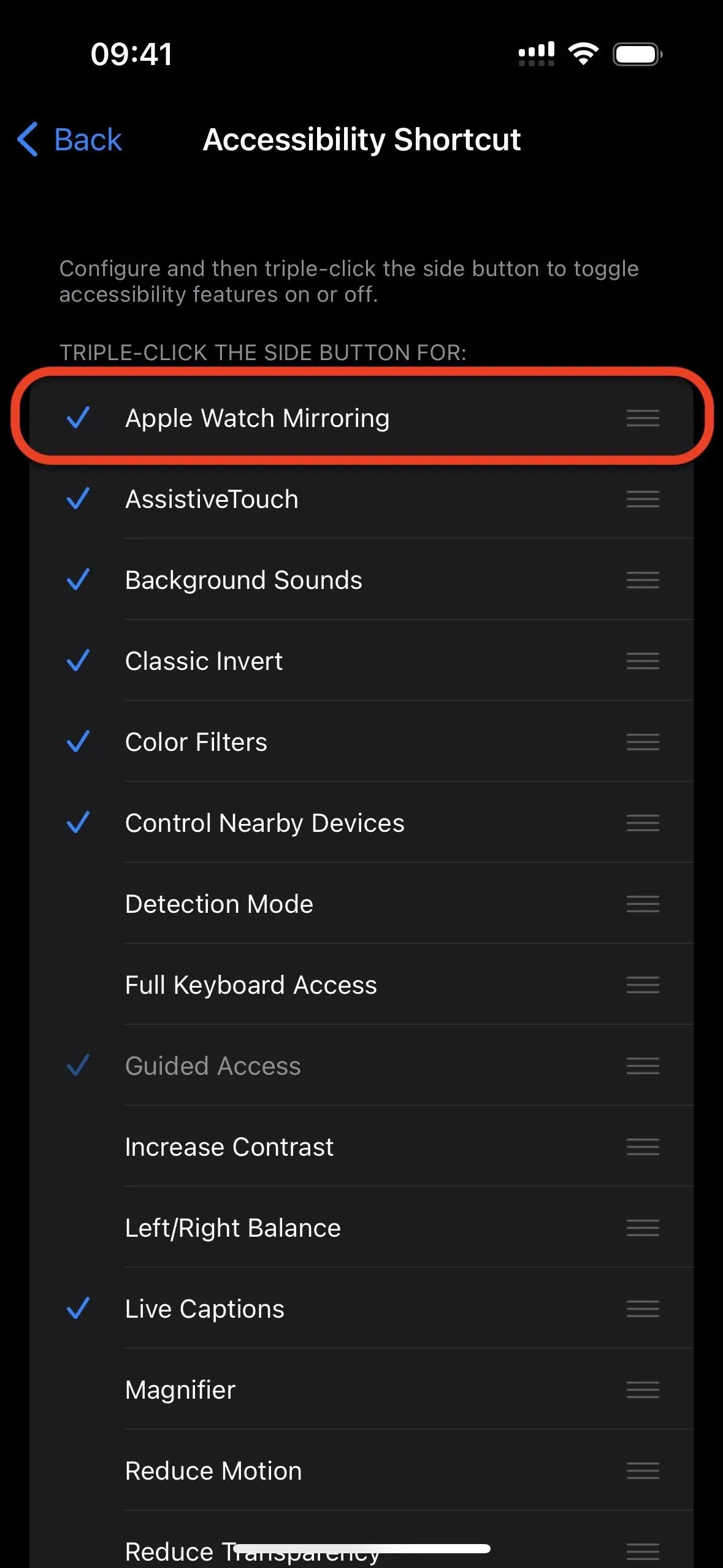 Accessibility options menu on a smartphone.