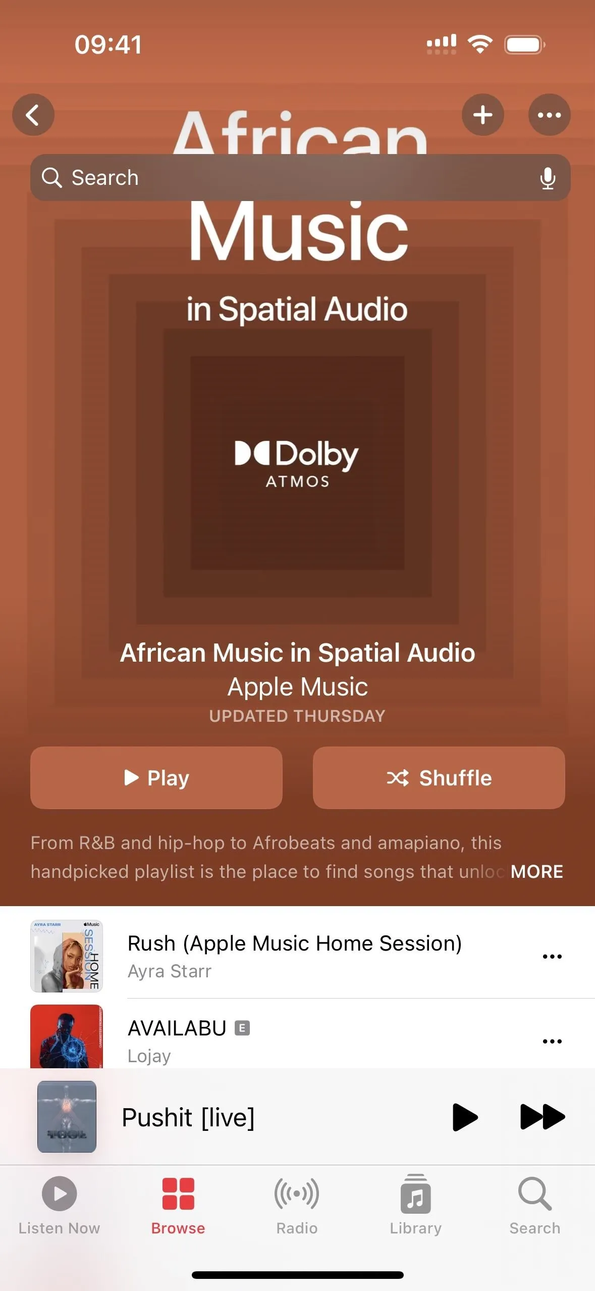 African music playlist on a streaming app interface.