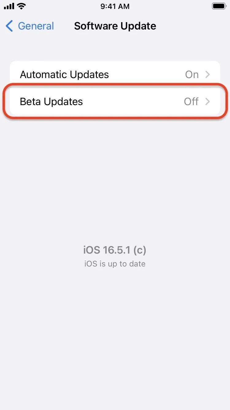 Software update settings showing options for automatic updates and beta updates on a mobile device.