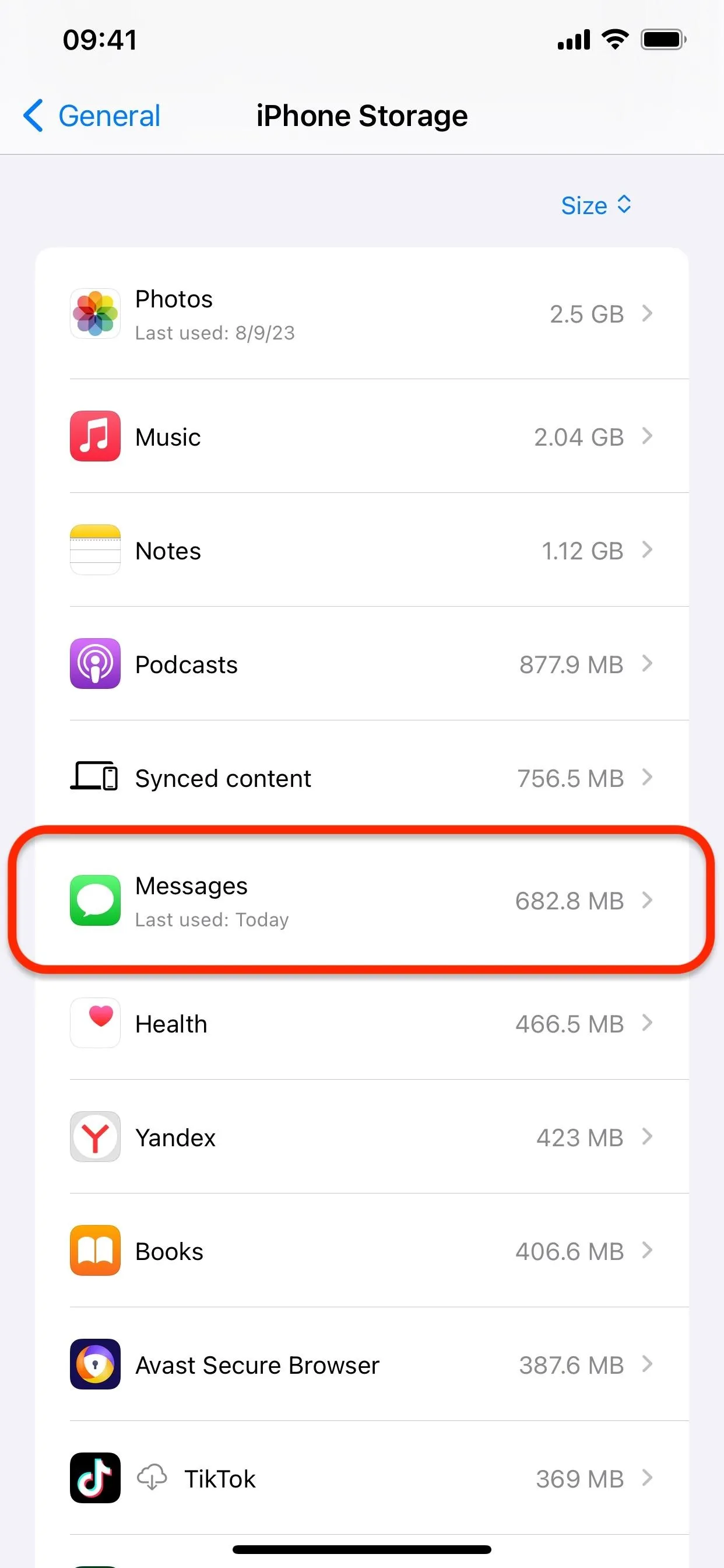 iPhone storage management screen showing app usage statistics.