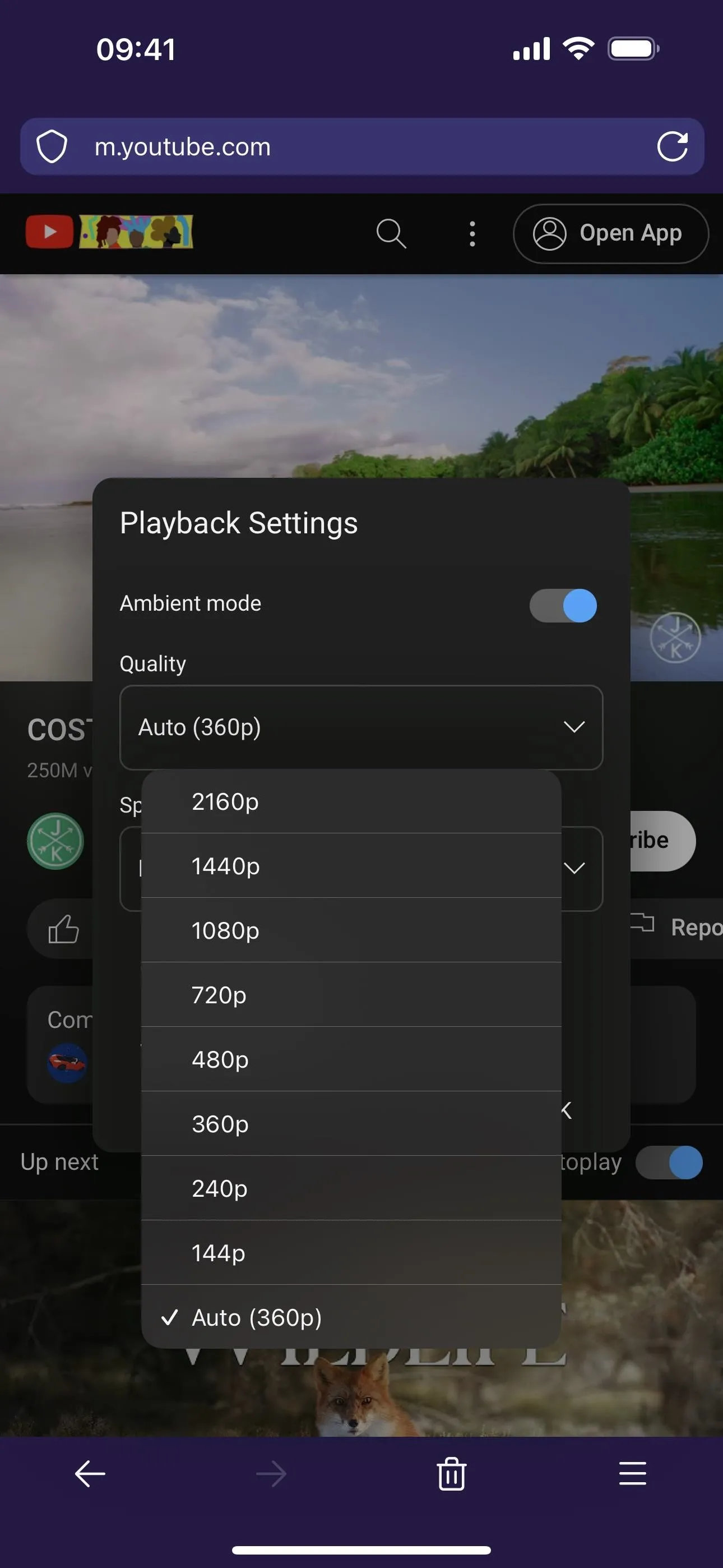 Playlist settings menu on a mobile app with video quality options.