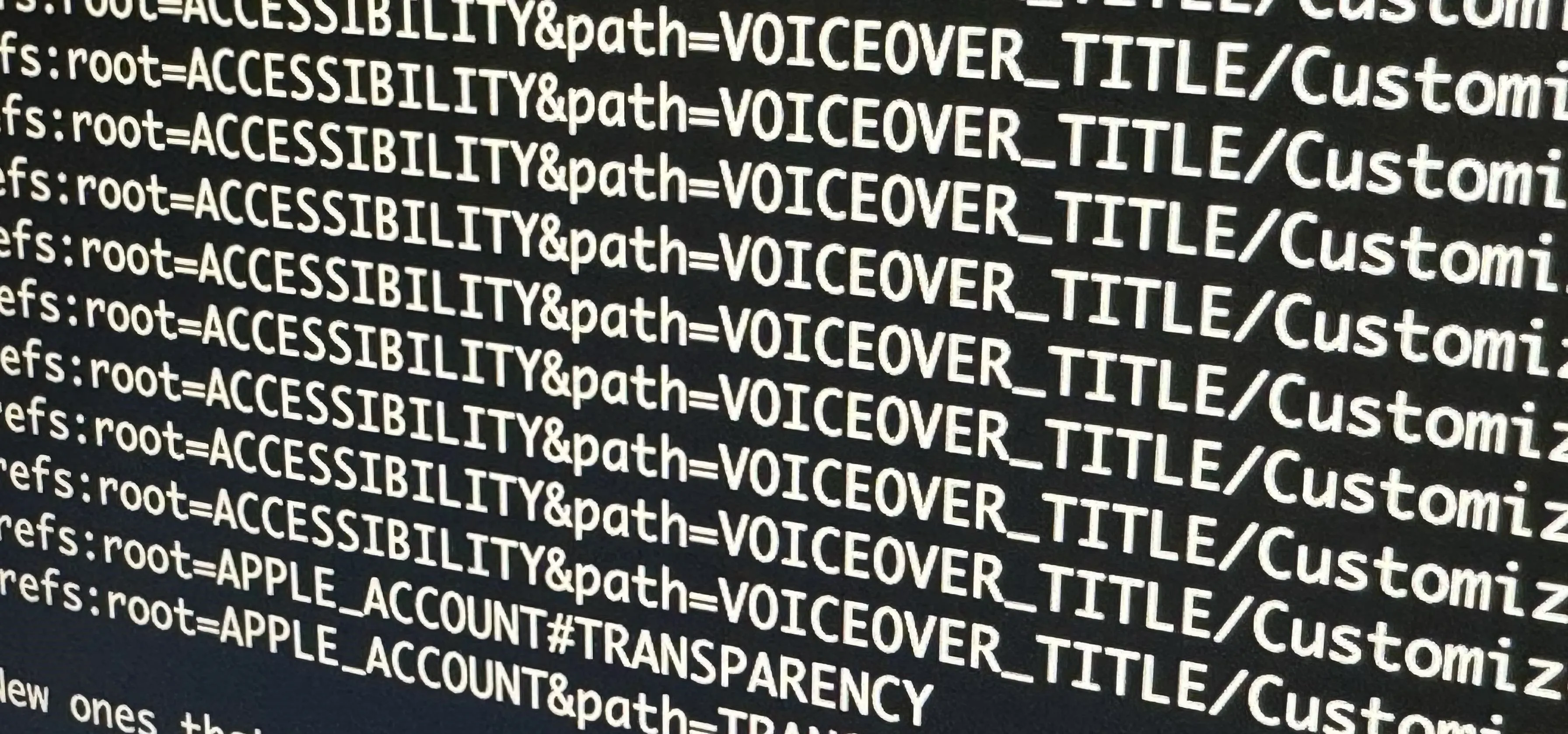 Code snippet displaying file paths and titles related to accessibility and voiceover settings.