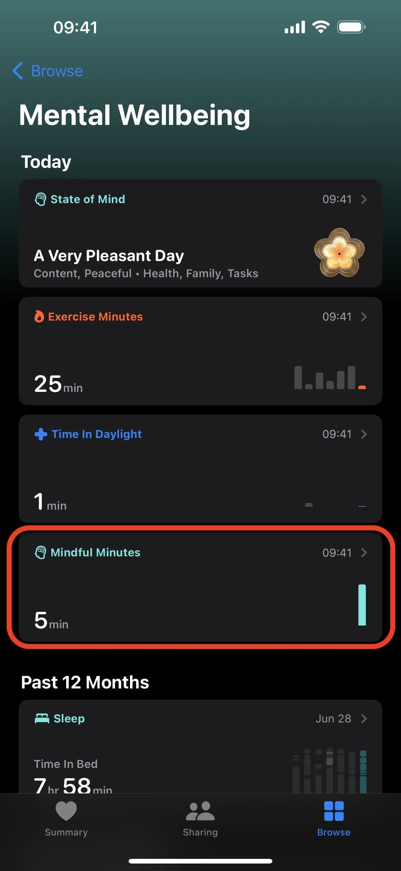 Mental wellbeing app dashboard showing daily progress and mood tracking.