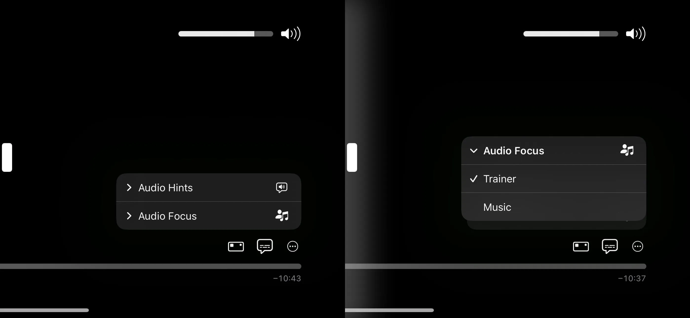 Audio settings menu on a media player interface.