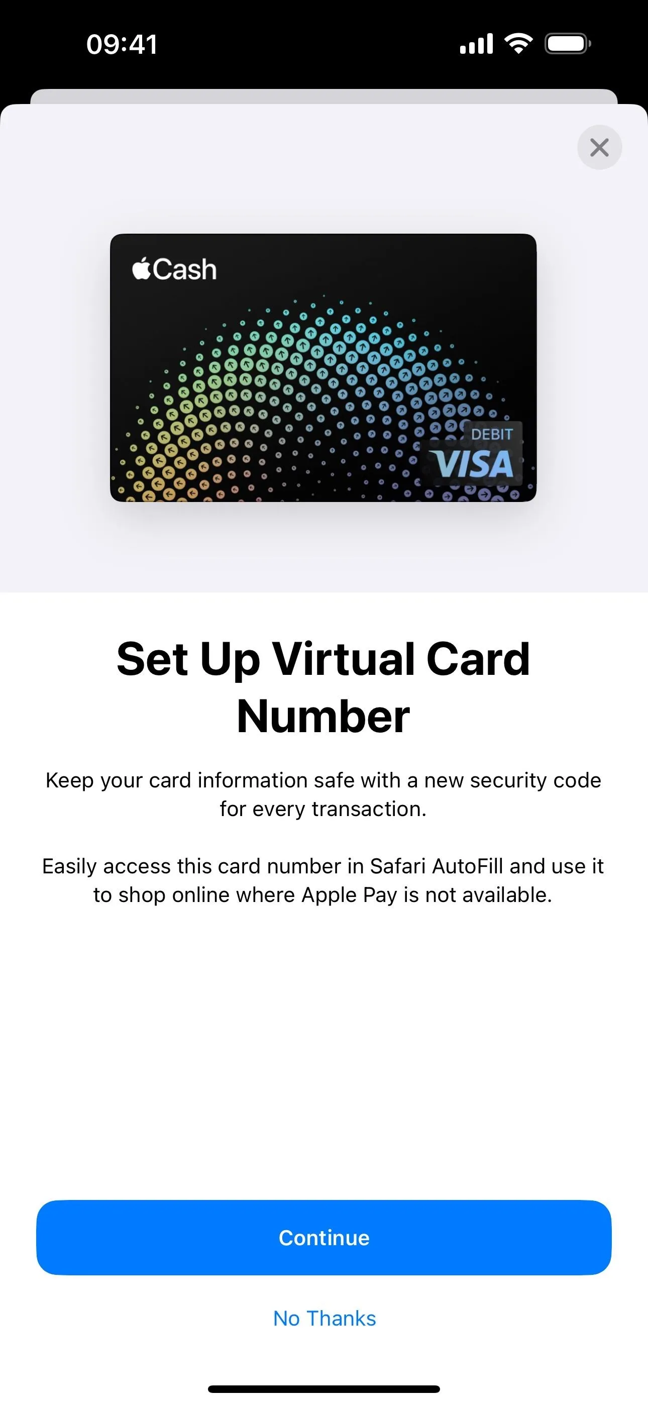 Virtual card number setup screen for secure online payments.