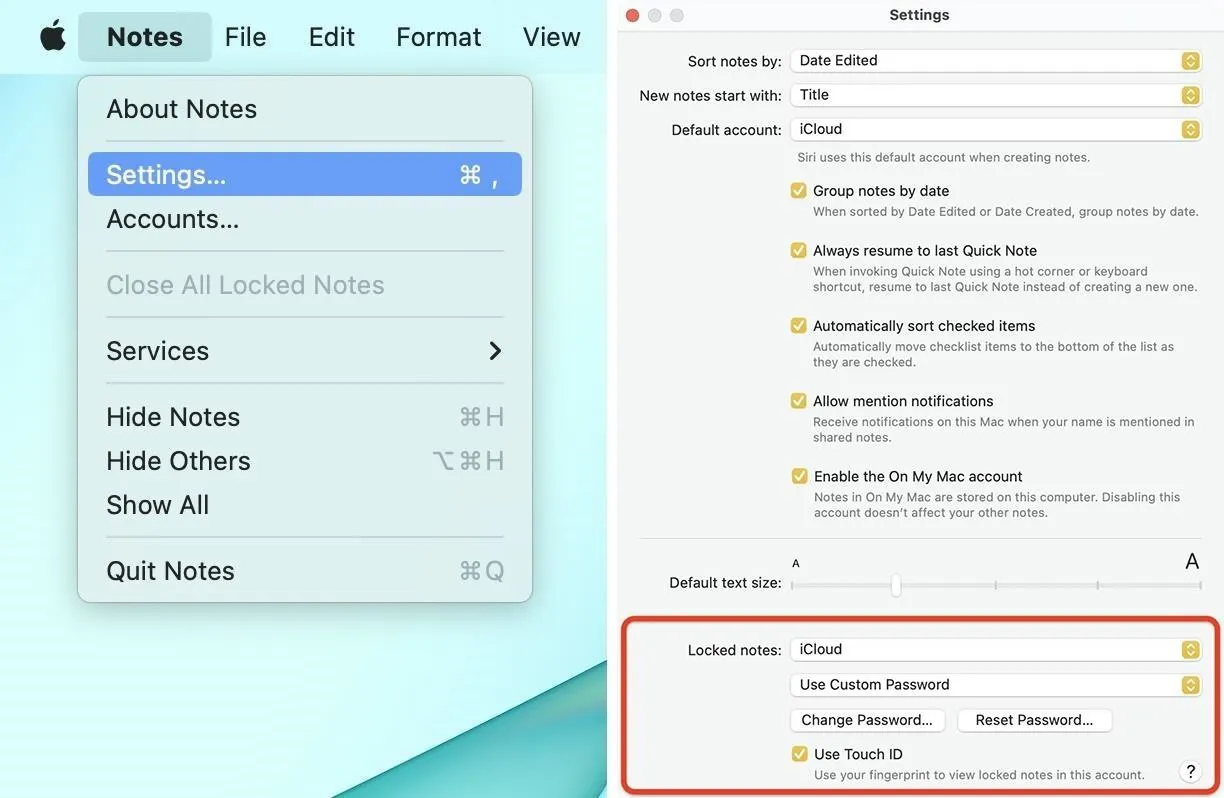 Screenshot of settings in the Notes app on a computer, displaying account options and preferences.
