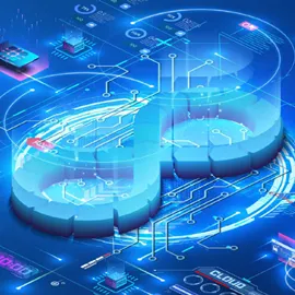 Development Lifecycle Policy