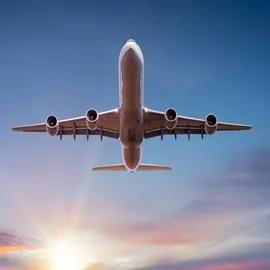 Essential Travel Tips for Business Pros