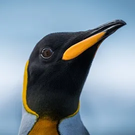 How to Create a Database Server on Linux to Be Used on Remote Machines
