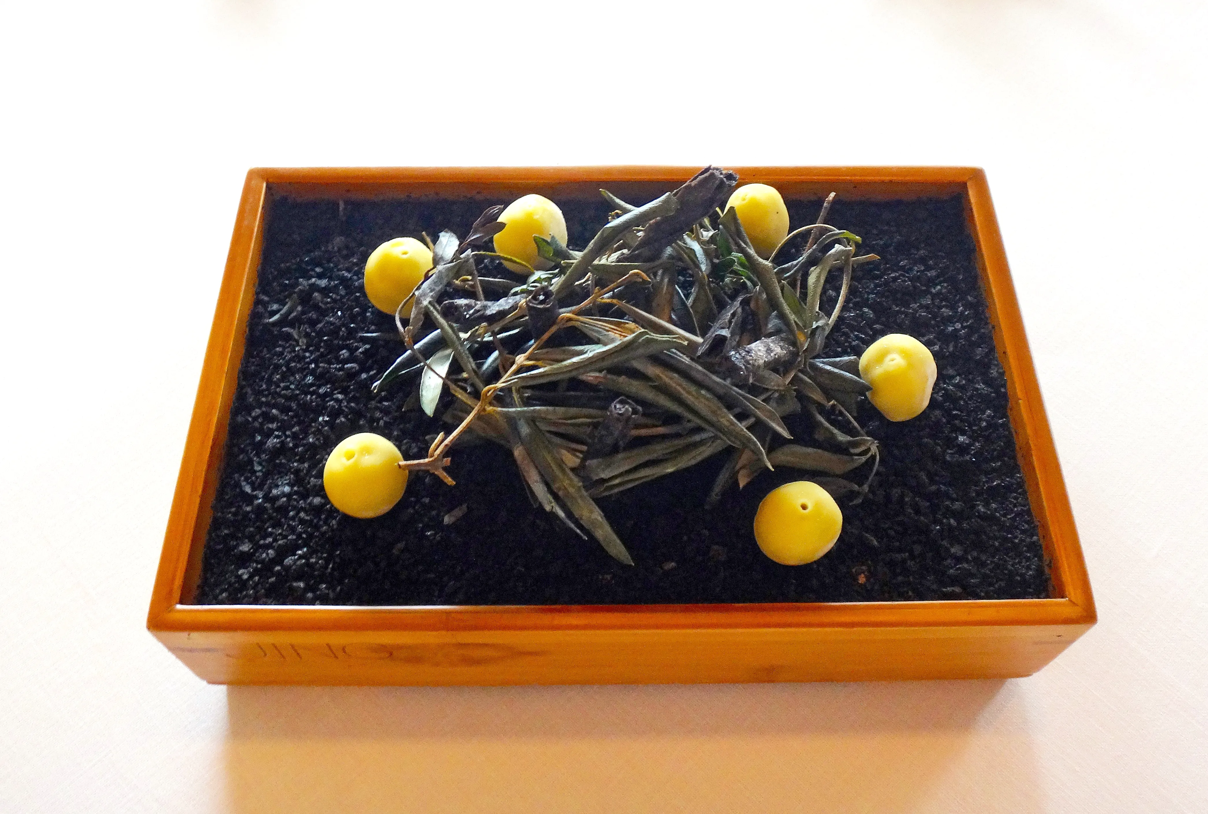 null A rectangular wooden box with dirt-looking material inside and dark, shriveled green beans and dehydrated olives on top.
