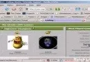 URL Preview