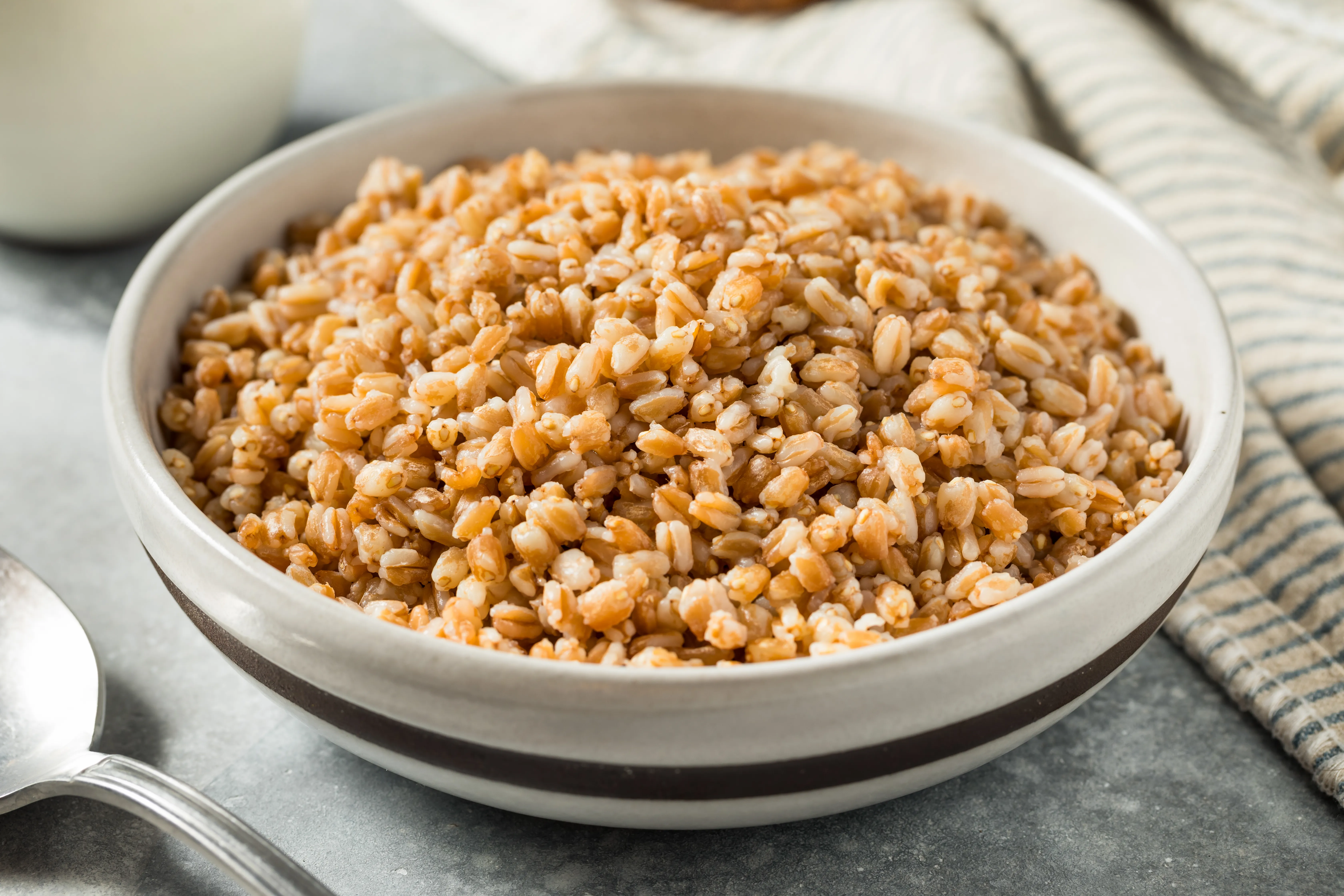 null Cooked organic farro grain in a bowl for dinner.