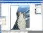 URL Preview
