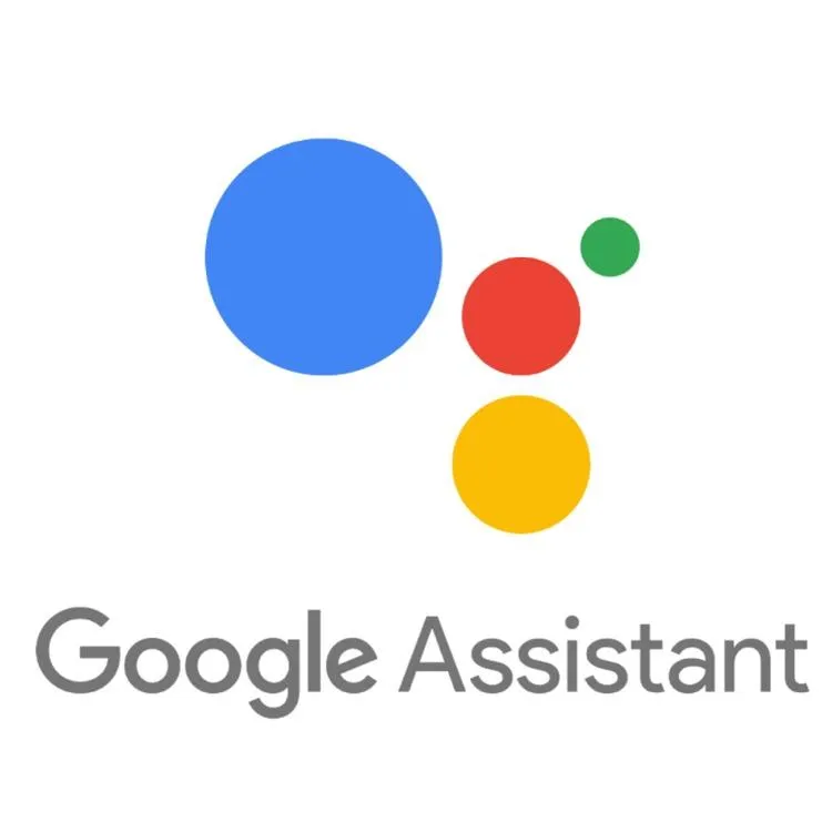 google assistant.jpg