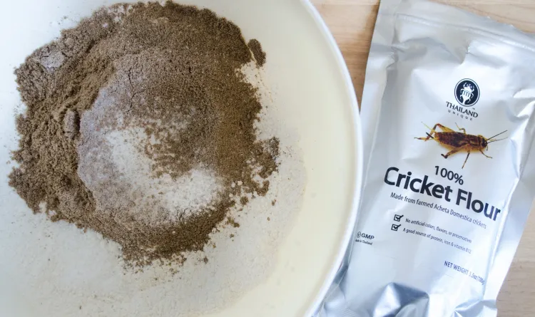 cricket flour