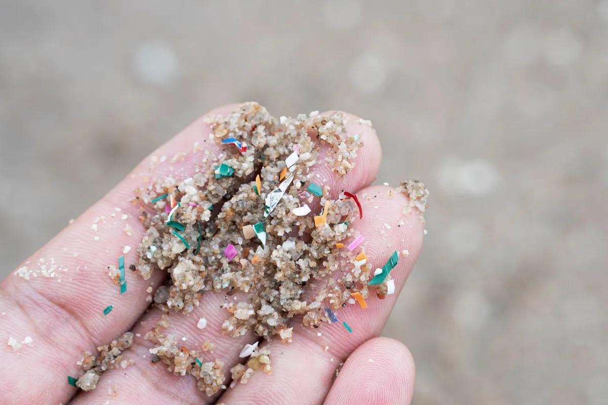 microplastics-in-hand-microplastics-air-pollutio-2025-03-25-11-28-37-utc-2.jpg