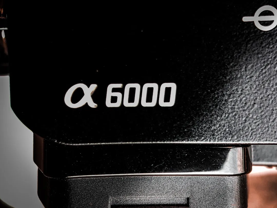 photo-1574237676577-0a7704b52dd9