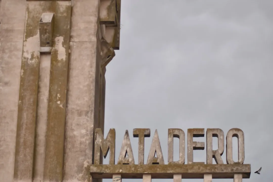 photo-1586374411602-9d6b59d0ddf9