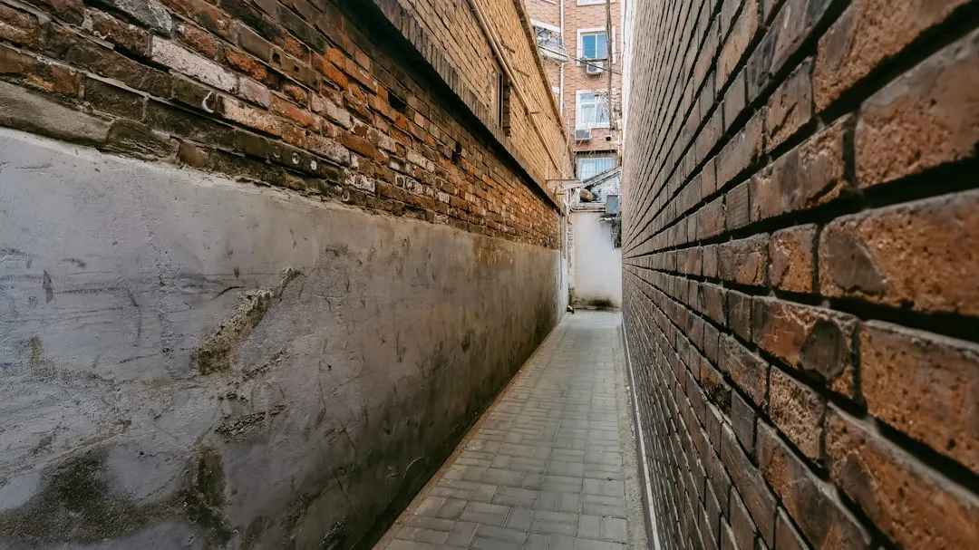 photo-1620359017541-cb3d391d96ae