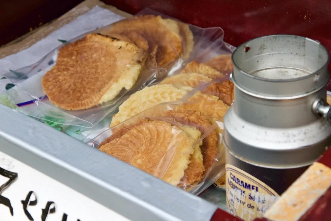 photo-1623516789902-01dc77435e16