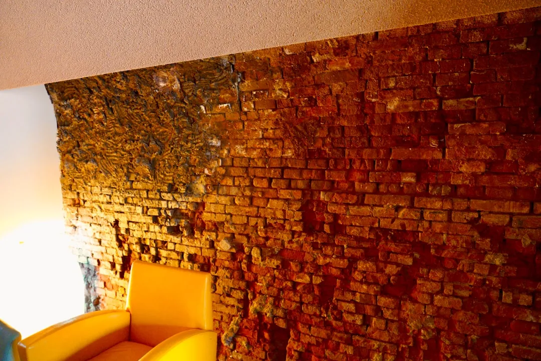 photo-1637634090558-dc9518003a91