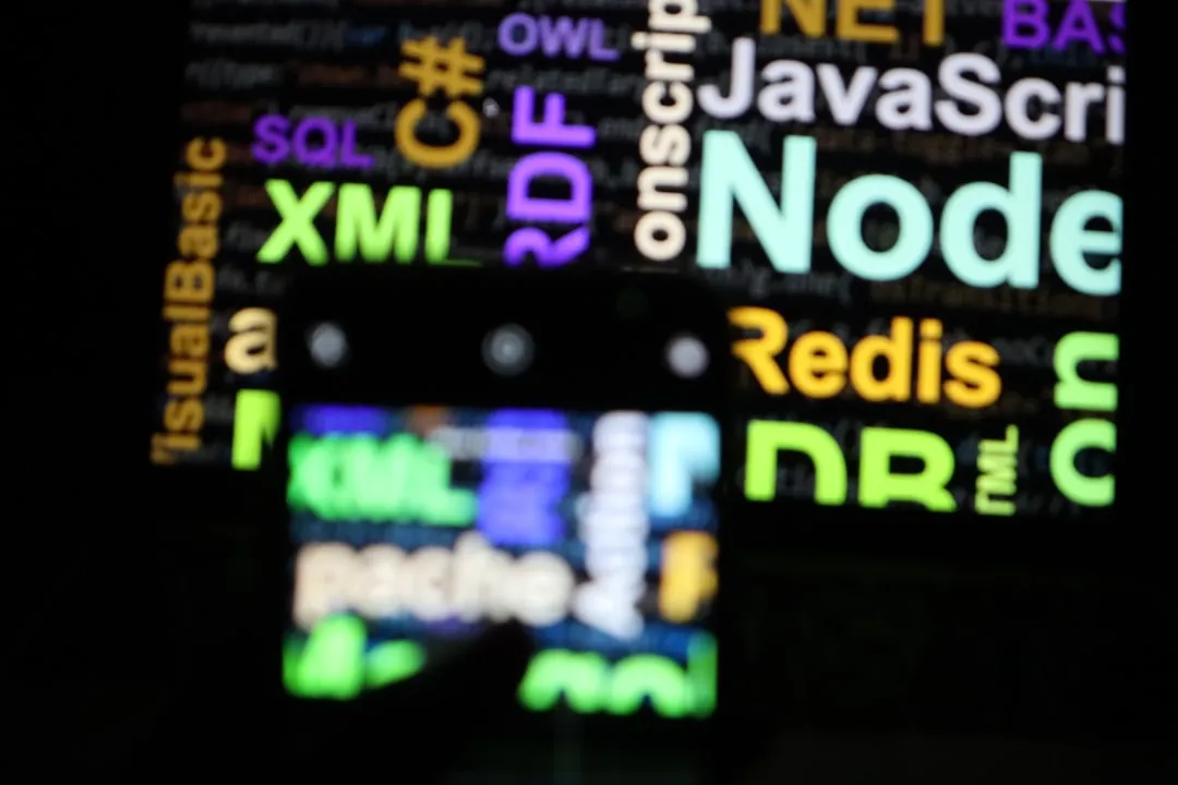 photo-1650234083227-74c0700b295a