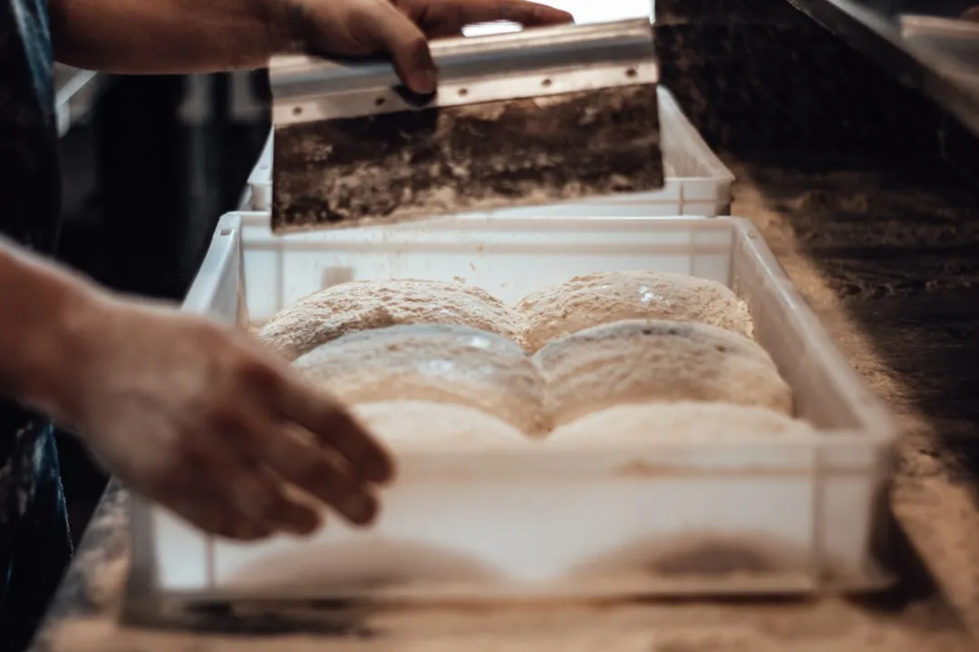 photo-1657897410328-46e21dd4e7d0