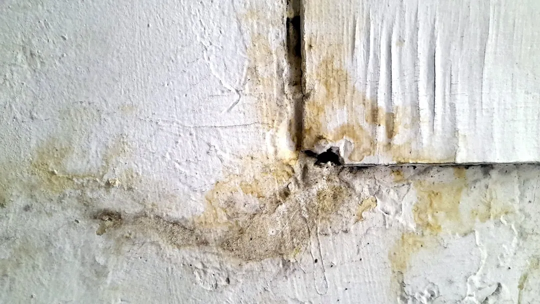 7 Home Repair Hacks Every Homeowner Must Know cover