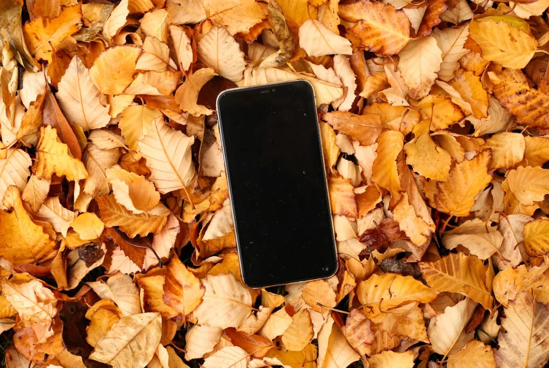 iPhone Air Popularity Explained: Early Usage Data vs. the Flop Narrative cover