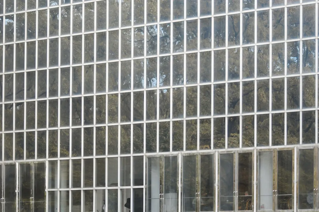 photo-1699159247728-cf996b93946a