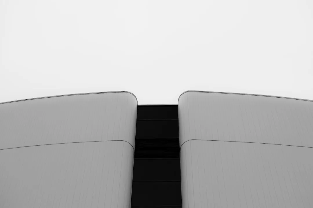 photo-1704495463743-0ddf1dd2b5c8