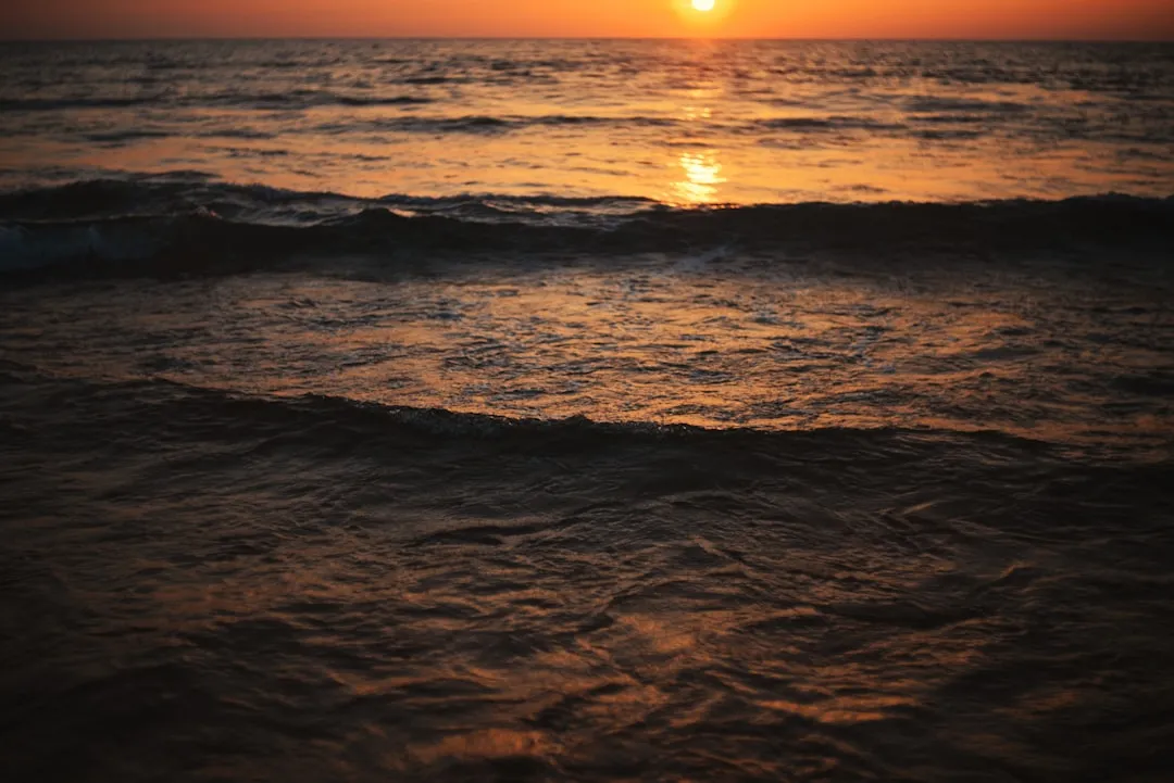 photo-1706382269942-62a611f36d69