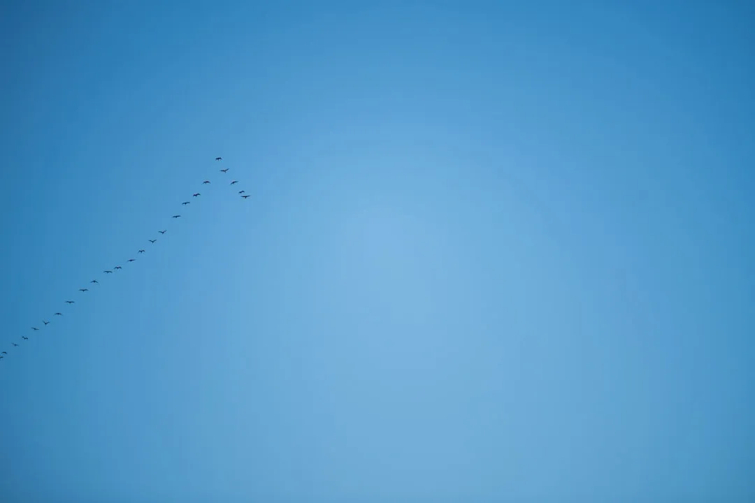 photo-1706577264589-72d7c6bdeb55