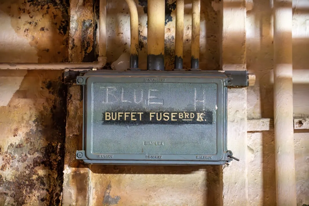 photo-1709745703052-5ad4dafbe34a