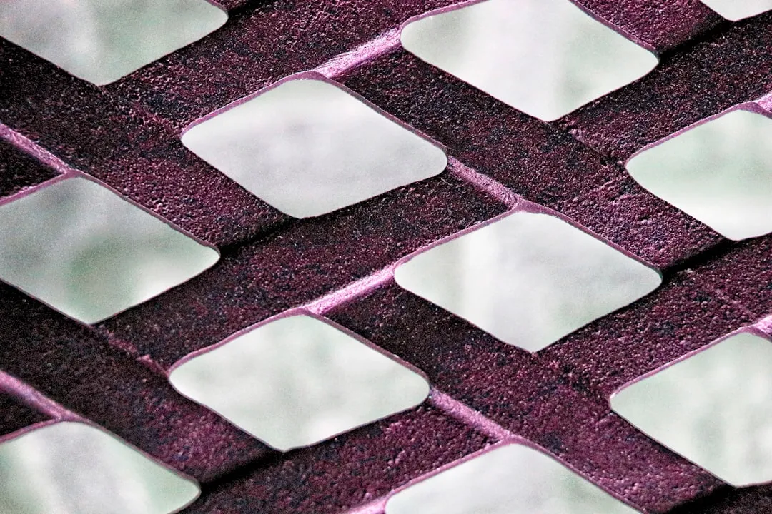 photo-1723989337865-3acd9ba48922