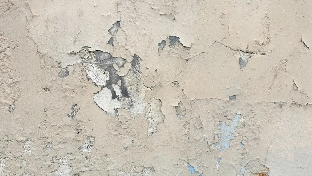 photo-1738503162526-bb57adbfa06f