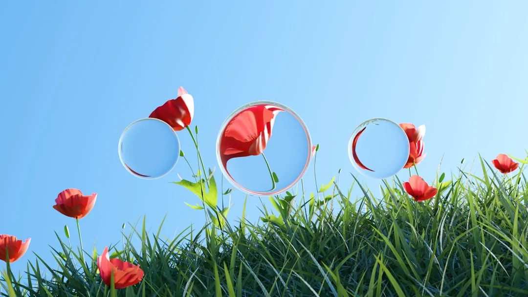 photo-1752524722694-e0976575a993