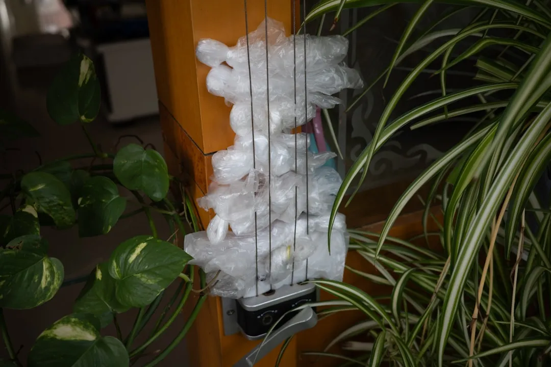 photo-1760445799125-b7441f91cc07