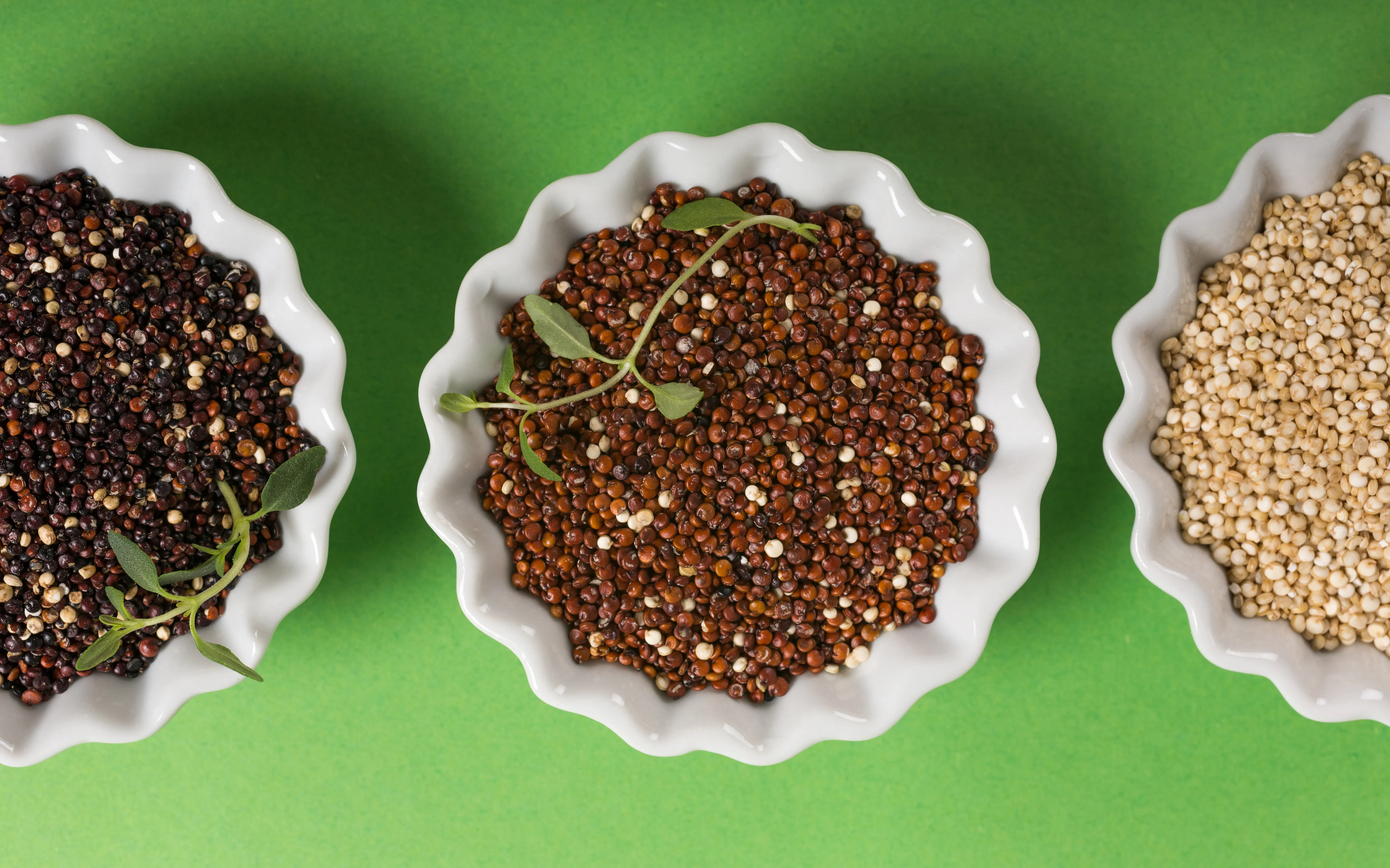 null Overhead shoot of assorted Quinoa in white bowls with fresh thyme herb on green background.