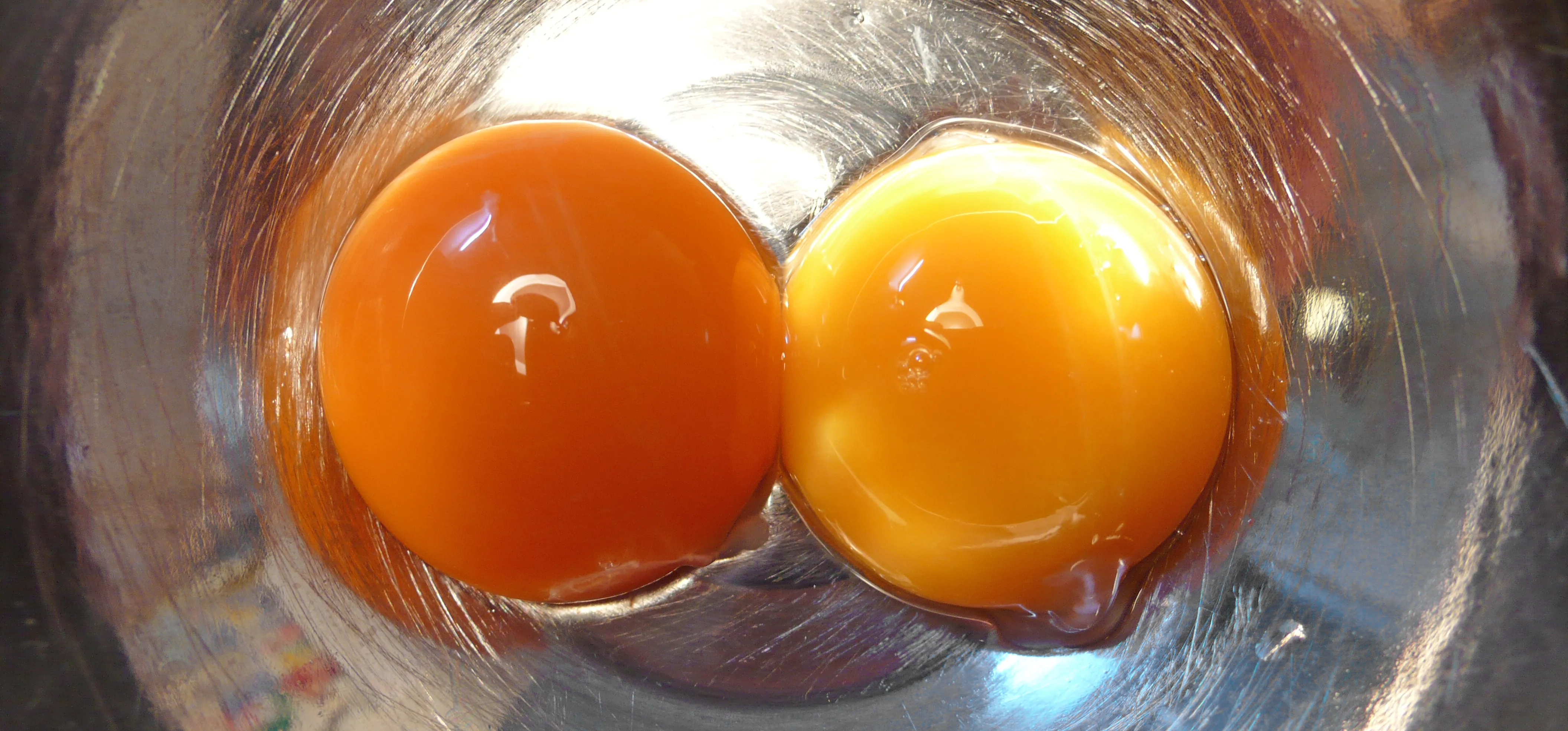 A close-up photo of two raw egg yolks in a silver bowl, one a dark orange, one a bright yellow.
