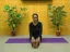 Woman practicing yoga in a home environment with potted plants.