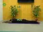 Person performing a yoga pose on a mat in a room with plants and a television.